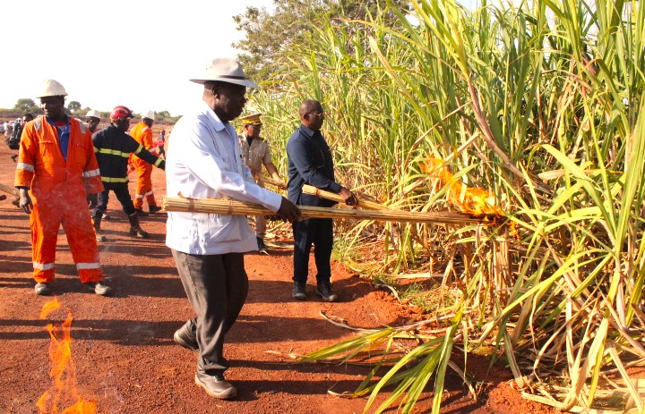 Lancement officielle de la campagne sucrière 2025-2026 